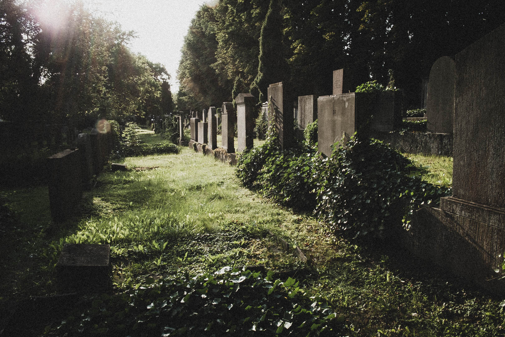 Jüdischer Friedhof Kassel-Bettenhausen